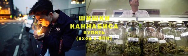 винт Осташков