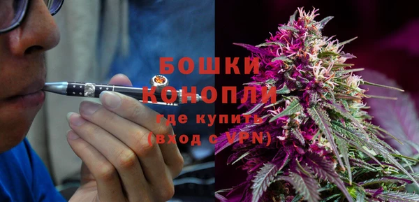 бошки Няндома