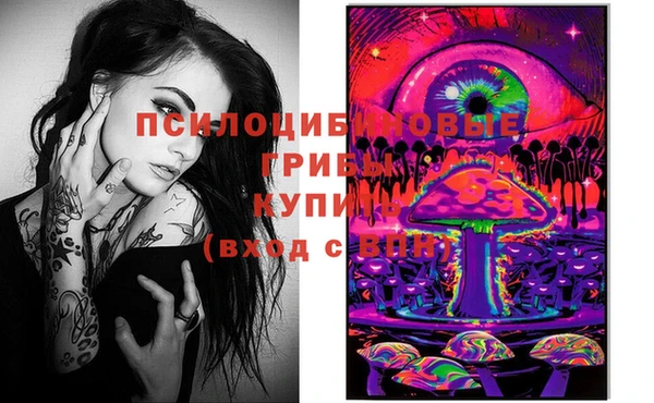 бошки Няндома